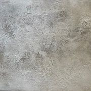"Meadow plants"