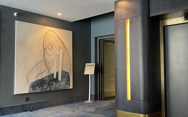 Viešbutis SPA VILNIUS Druskininkai