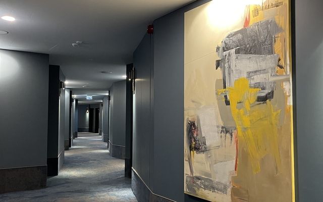 Viešbutis SPA VILNIUS Druskininkai
